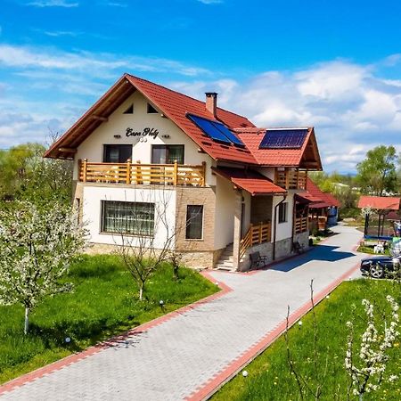 Casa Nely Hotel Sighetu Marmaţiei Екстериор снимка