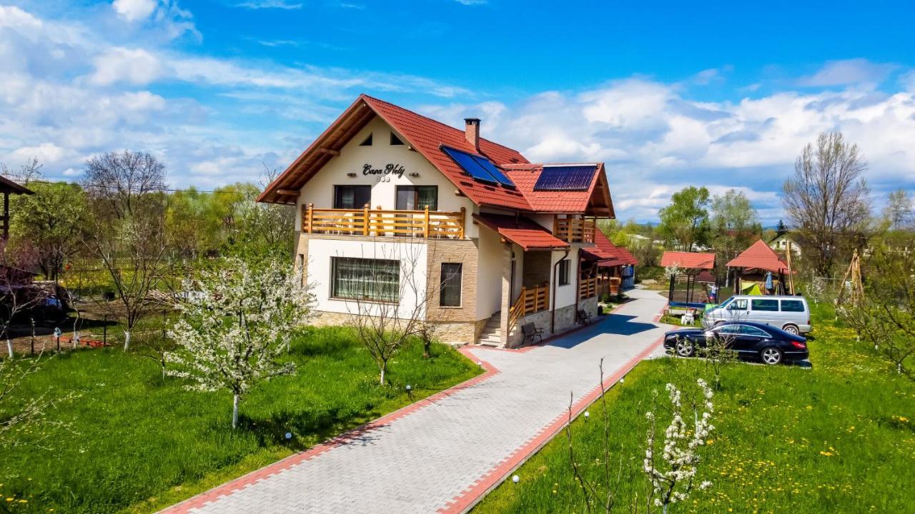 Casa Nely Hotel Sighetu Marmaţiei Екстериор снимка