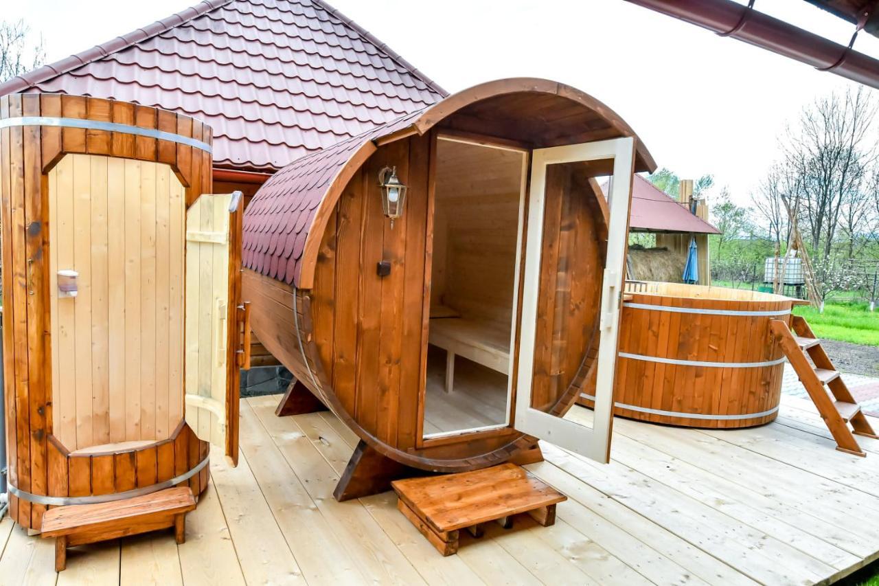 Casa Nely Hotel Sighetu Marmaţiei Екстериор снимка