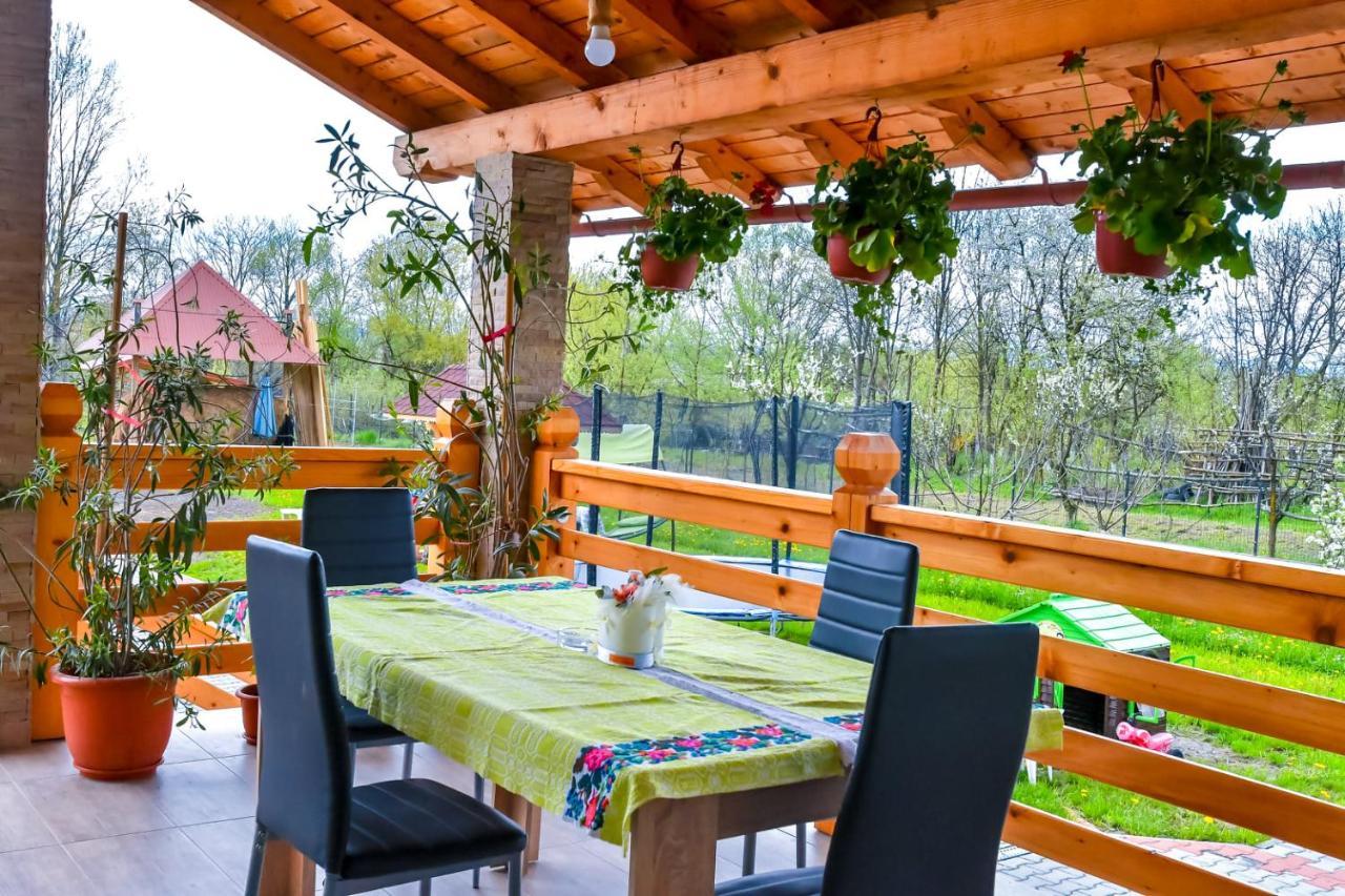Casa Nely Hotel Sighetu Marmaţiei Екстериор снимка