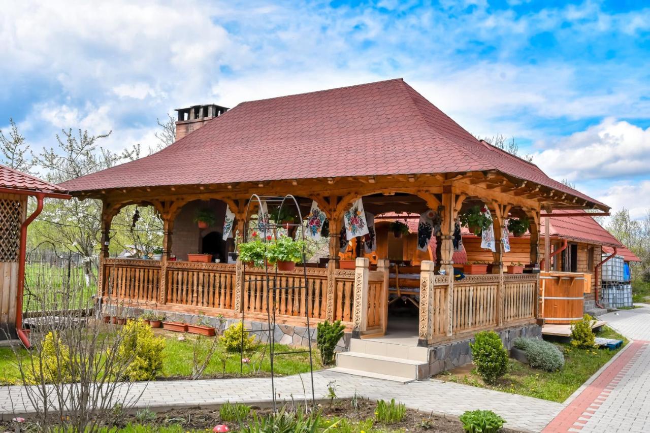 Casa Nely Hotel Sighetu Marmaţiei Екстериор снимка