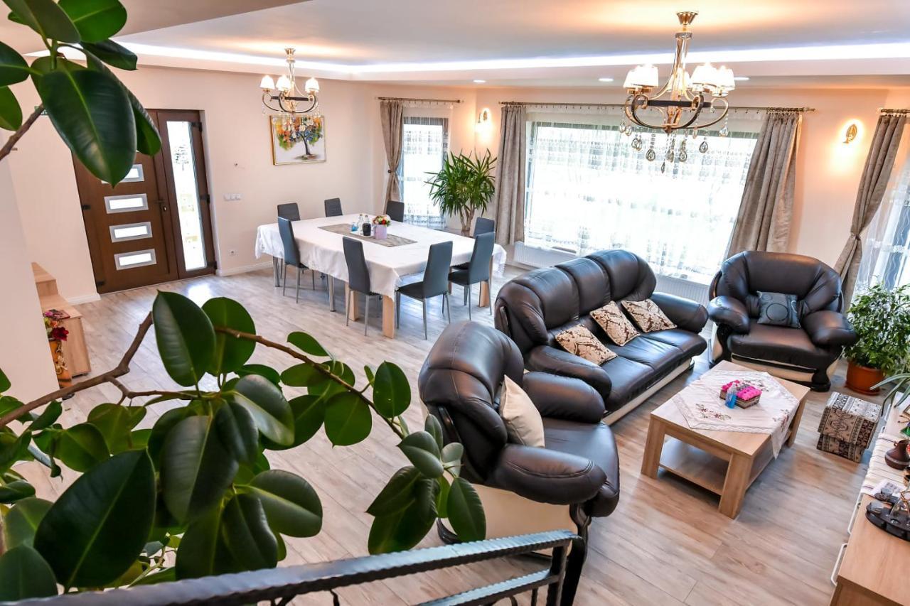 Casa Nely Hotel Sighetu Marmaţiei Екстериор снимка