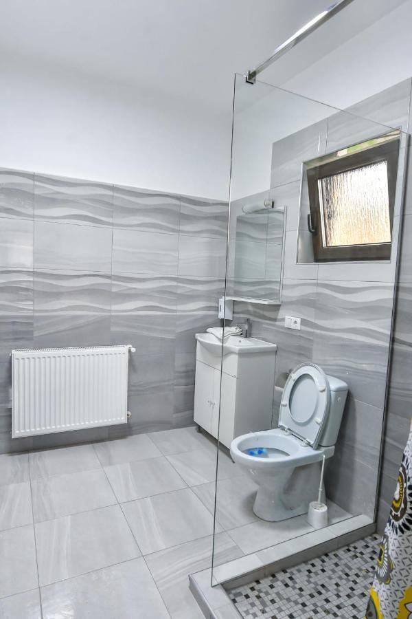 Casa Nely Hotel Sighetu Marmaţiei Екстериор снимка