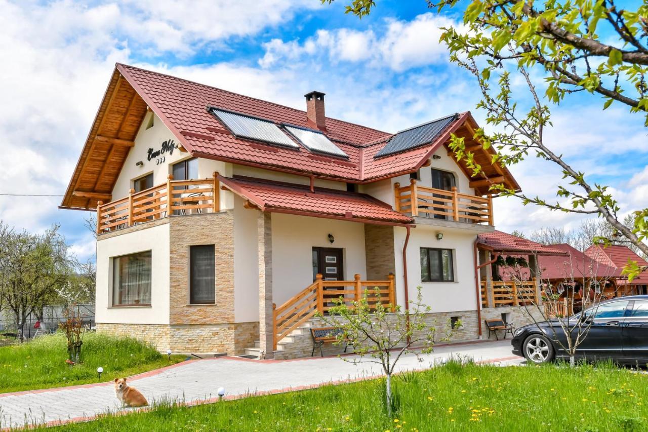 Casa Nely Hotel Sighetu Marmaţiei Екстериор снимка